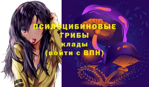 стафф Верея