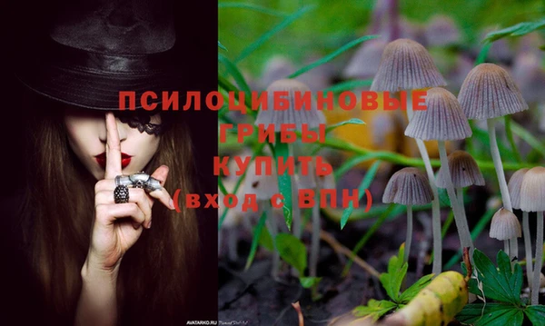 стафф Верея