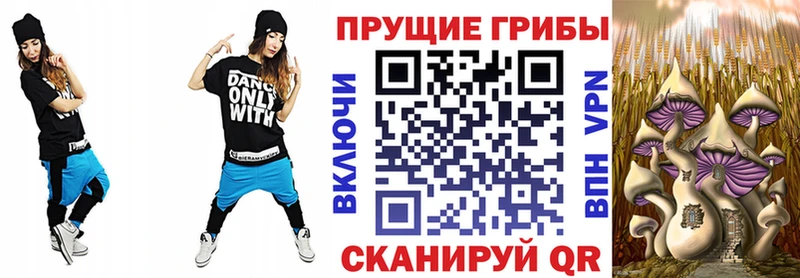 Купить где  Тейково  Галлюциногенные грибы Magic Shrooms 