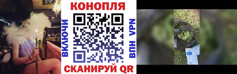 Купить где  Тейково  МАРИХУАНА AK-47 